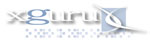 xguru, Inc. websites, enewsletters, ISP hosting